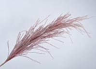 Трава рожево-лілова 174см